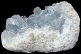 Sky Blue Celestine (Celestite) Crystal Cluster - Madagascar #75948-1